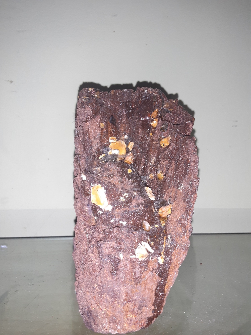pallasite meteorite